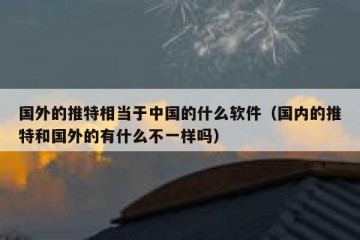 国外的推特相当于中国的什么软件（国内的推特和国外的有什么不一样吗）