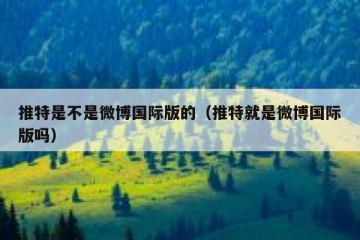 推特是不是微博国际版的（推特就是微博国际版吗）
