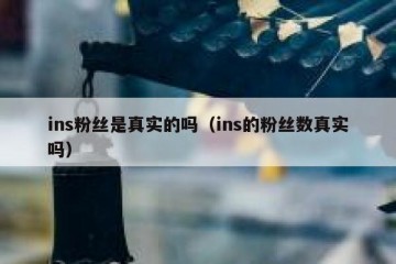 ins粉丝是真实的吗（ins的粉丝数真实吗）
