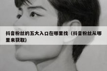 抖音粉丝的五大入口在哪里找（抖音粉丝从哪里来获取）