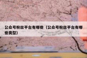 公众号粉丝平台有哪些（公众号粉丝平台有哪些类型）