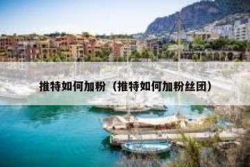 推特如何加粉（推特如何加粉丝团）