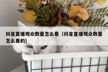 抖音直播观众数量怎么看（抖音直播观众数量怎么看的）