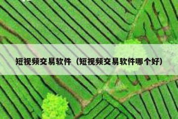 短视频交易软件（短视频交易软件哪个好）