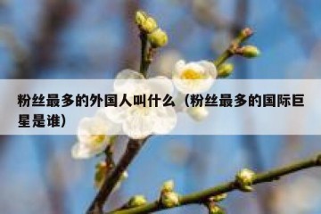 粉丝最多的外国人叫什么（粉丝最多的国际巨星是谁）