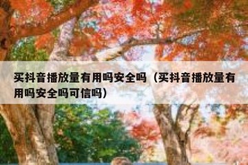买抖音播放量有用吗安全吗（买抖音播放量有用吗安全吗可信吗）