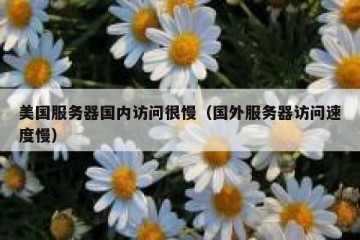 美国服务器国内访问很慢（国外服务器访问速度慢）