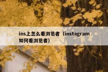 ins上怎么看浏览者（instagram如何看浏览者）