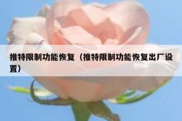 推特限制功能恢复（推特限制功能恢复出厂设置）