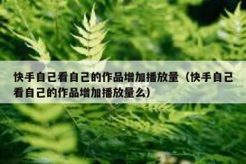 快手自己看自己的作品增加播放量（快手自己看自己的作品增加播放量么）