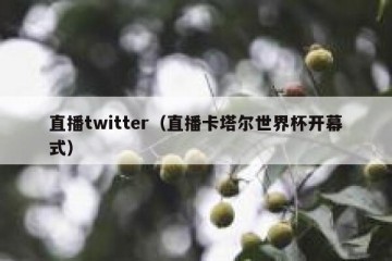 直播twitter（直播卡塔尔世界杯开幕式）