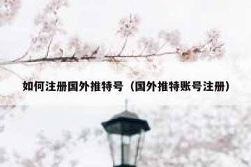 如何注册国外推特号（国外推特账号注册）