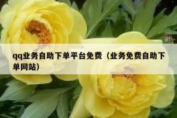 qq业务自助下单平台免费（业务免费自助下单网站）