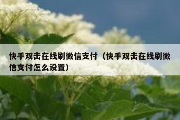 快手双击在线刷微信支付（快手双击在线刷微信支付怎么设置）
