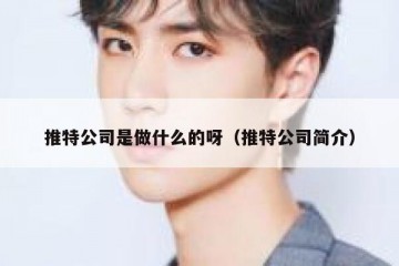 推特公司是做什么的呀（推特公司简介）