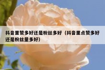 抖音里赞多好还是粉丝多好（抖音里点赞多好还是粉丝量多好）