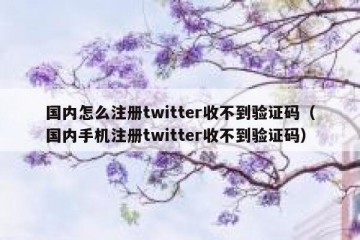 国内怎么注册twitter收不到验证码（国内手机注册twitter收不到验证码）