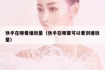 快手在哪看播放量（快手在哪里可以看到播放量）