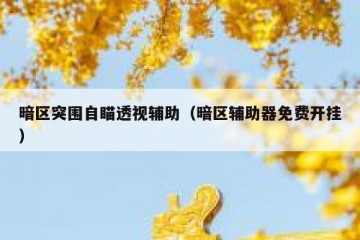 暗区突围自瞄透视辅助（暗区辅助器免费开挂）