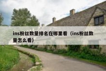 ins粉丝数量排名在哪里看（ins粉丝数量怎么看）
