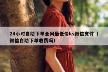 24小时自助下单全网最低价ks微信支付（微信自助下单收费吗）