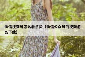 微信视频号怎么看点赞（微信公众号的视频怎么下载）