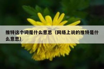 推特这个词是什么意思（网络上说的推特是什么意思）