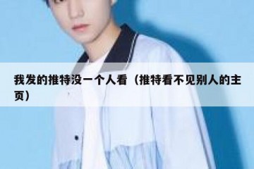 我发的推特没一个人看（推特看不见别人的主页）