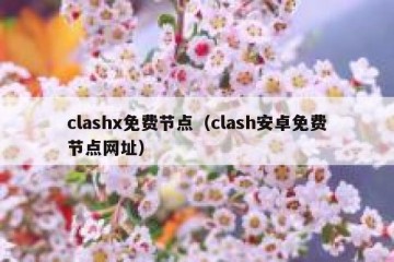 clashx免费节点（clash安卓免费节点网址）