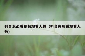 抖音怎么看视频观看人数（抖音在哪看观看人数）