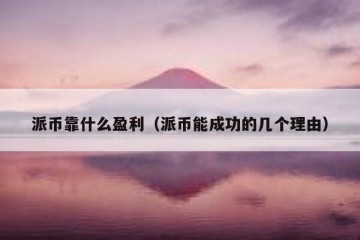 派币靠什么盈利（派币能成功的几个理由）