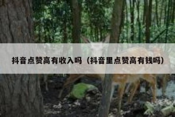 抖音点赞高有收入吗（抖音里点赞高有钱吗）