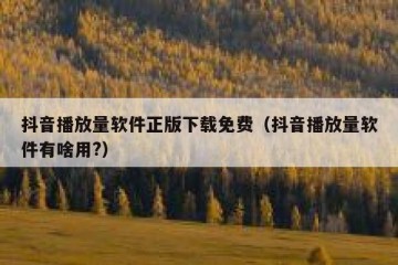 抖音播放量软件正版下载免费（抖音播放量软件有啥用?）