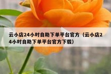 云小店24小时自助下单平台官方（云小店24小时自助下单平台官方下载）