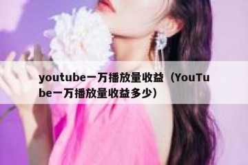 youtube一万播放量收益（YouTube一万播放量收益多少）