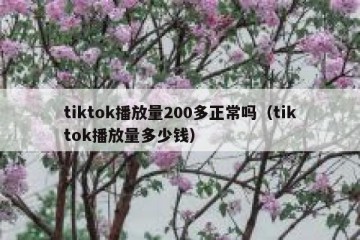 tiktok播放量200多正常吗（tiktok播放量多少钱）