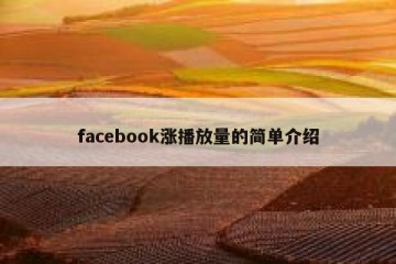 facebook涨播放量的简单介绍
