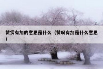 赞赏有加的意思是什么（赞叹有加是什么意思）