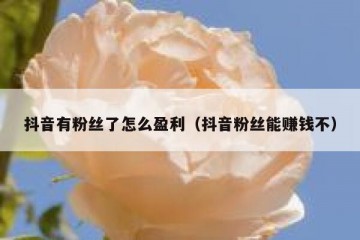 抖音有粉丝了怎么盈利（抖音粉丝能赚钱不）