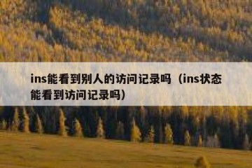 ins能看到别人的访问记录吗（ins状态能看到访问记录吗）