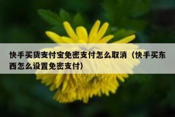 快手买货支付宝免密支付怎么取消（快手买东西怎么设置免密支付）