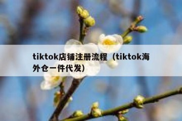 tiktok店铺注册流程（tiktok海外仓一件代发）
