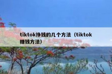 tiktok挣钱的几个方法（tiktok赚钱方法）