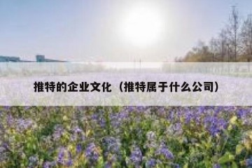 推特的企业文化（推特属于什么公司）