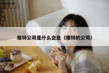 推特公司是什么企业（推特的公司）