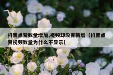 抖音点赞数量增加,视频却没有新增（抖音点赞视频数量为什么不显示）