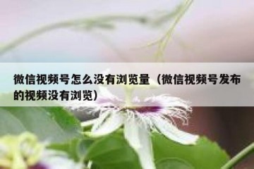 微信视频号怎么没有浏览量（微信视频号发布的视频没有浏览）