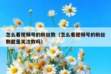 怎么看视频号的粉丝数（怎么看视频号的粉丝数就是关注数吗）