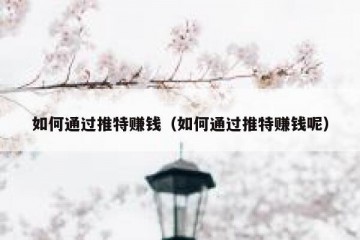 如何通过推特赚钱（如何通过推特赚钱呢）