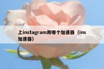 上instagram用哪个加速器（ins加速器）